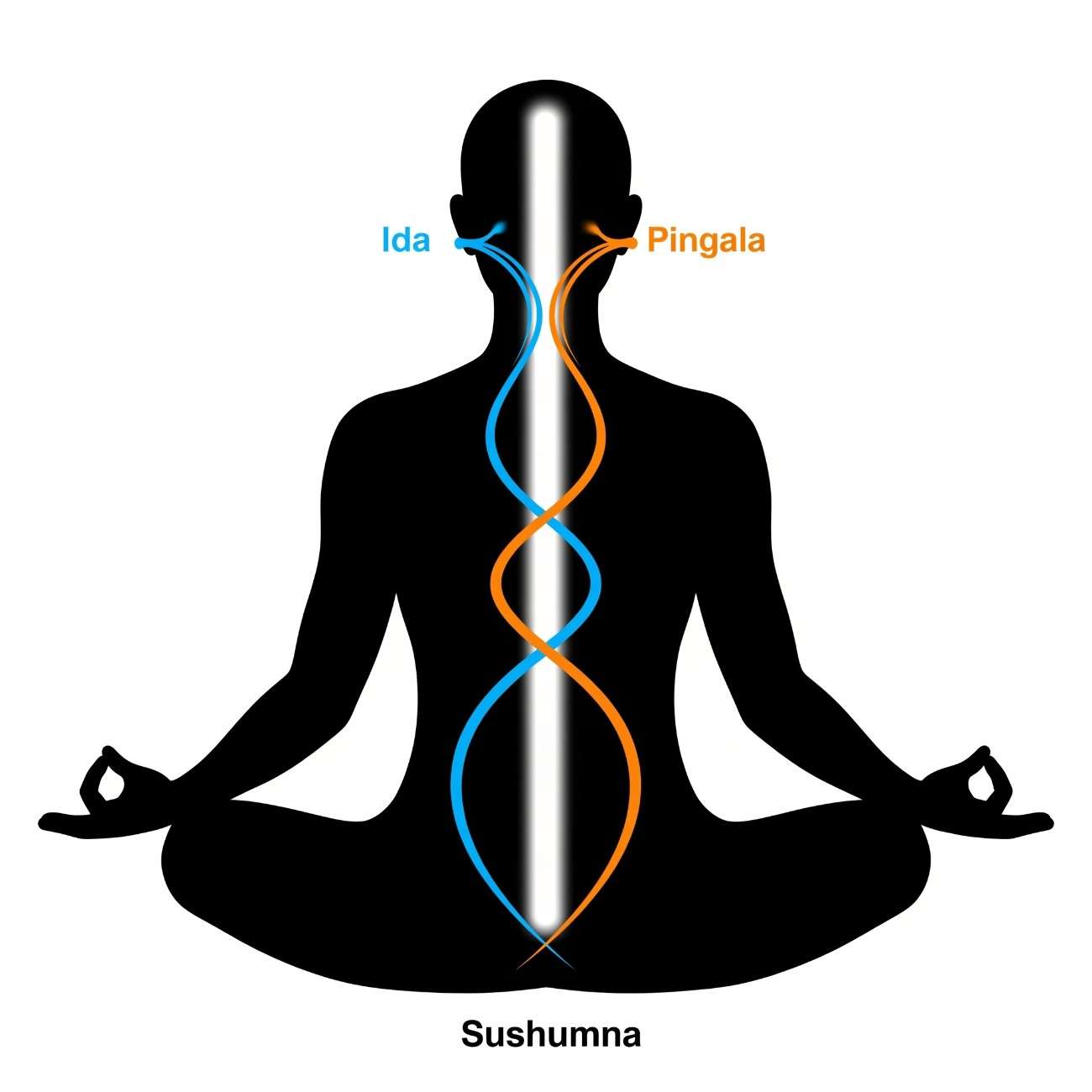 ईडा,पिंगला तथा सुष्मना नाड़ि